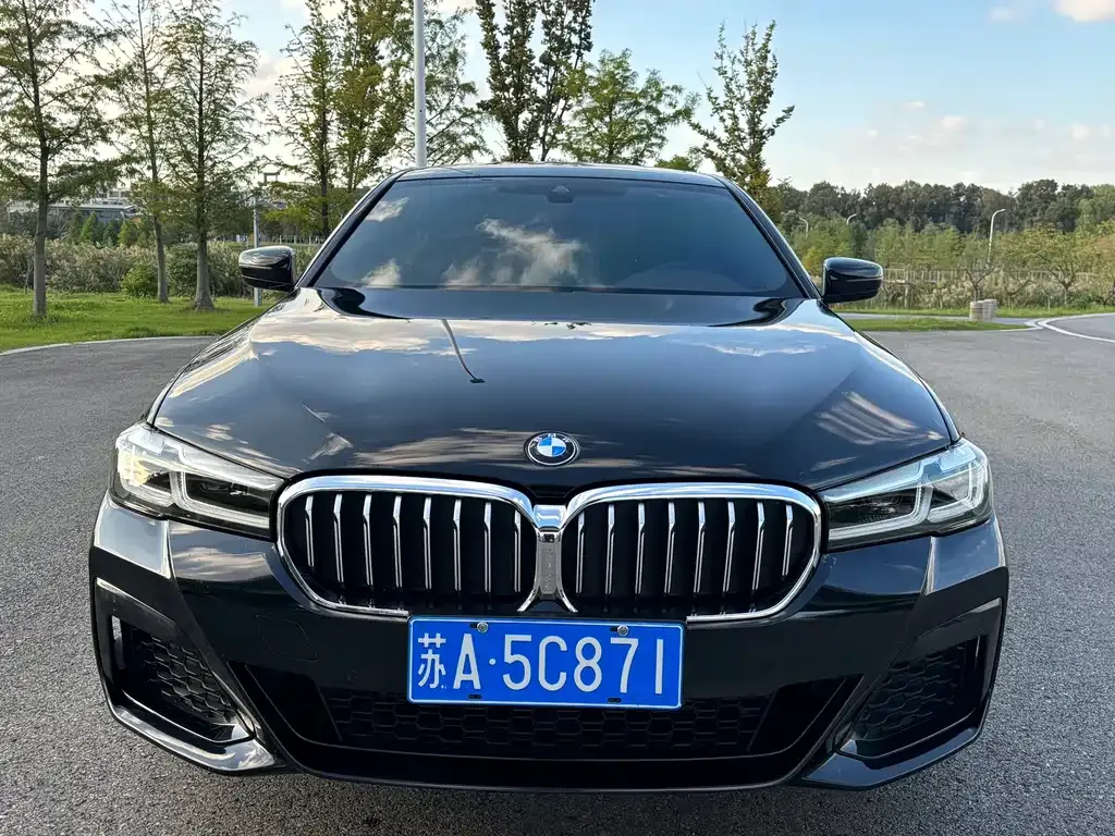 BMW 5 Series 2022 из CN, фото 3
