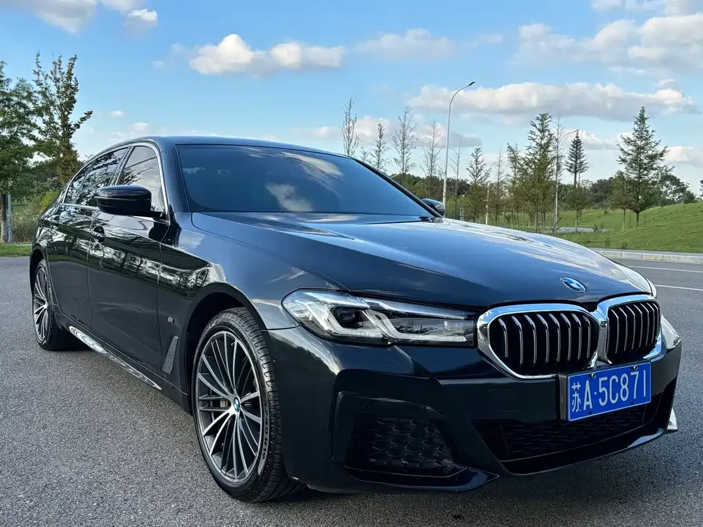 BMW 5 Series 2022 из CN, фото 4