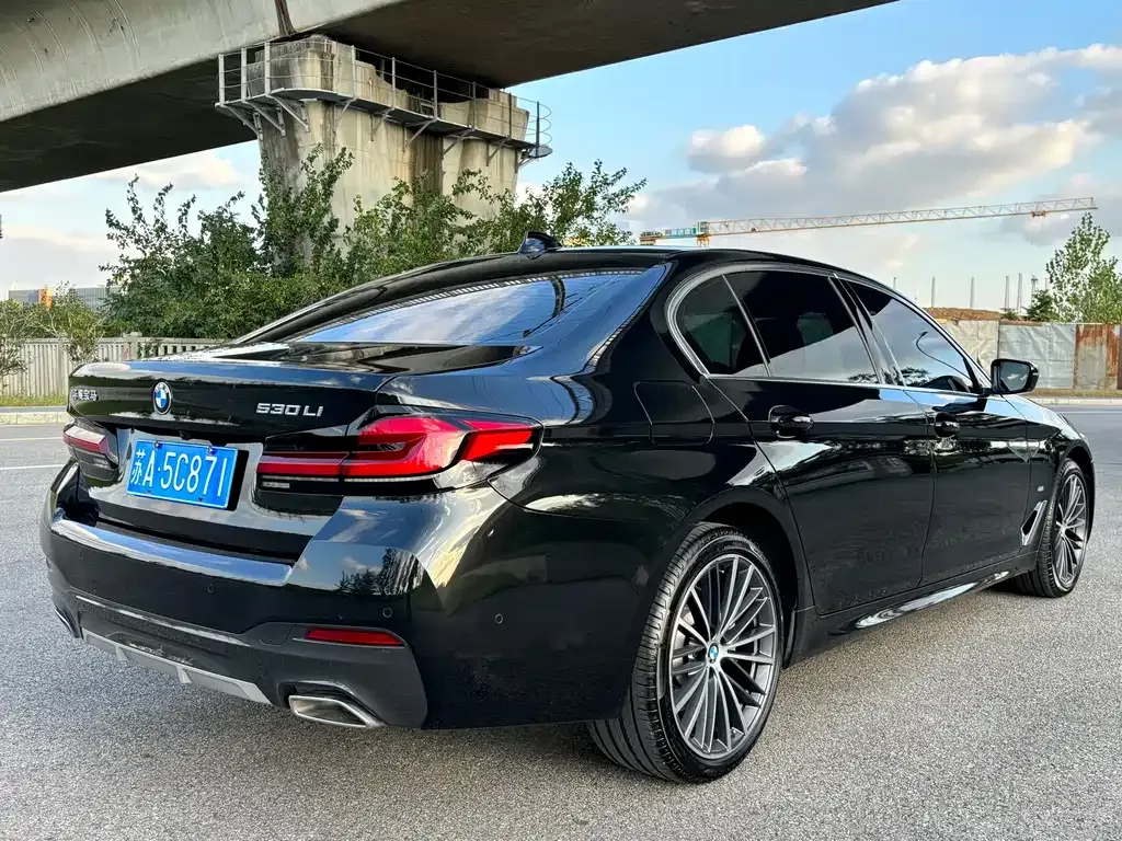 BMW 5 Series 2022 из CN, фото 6