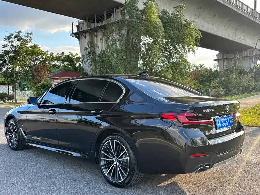 BMW 5 Series 2022 из CN, фото 8
