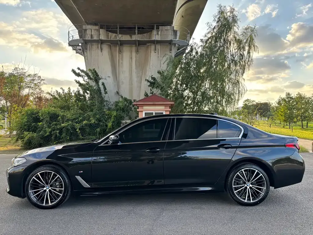 BMW 5 Series 2022 из CN, фото 9