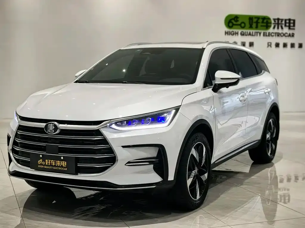 BYD Tang New Energy 2024 из CN, фото 1