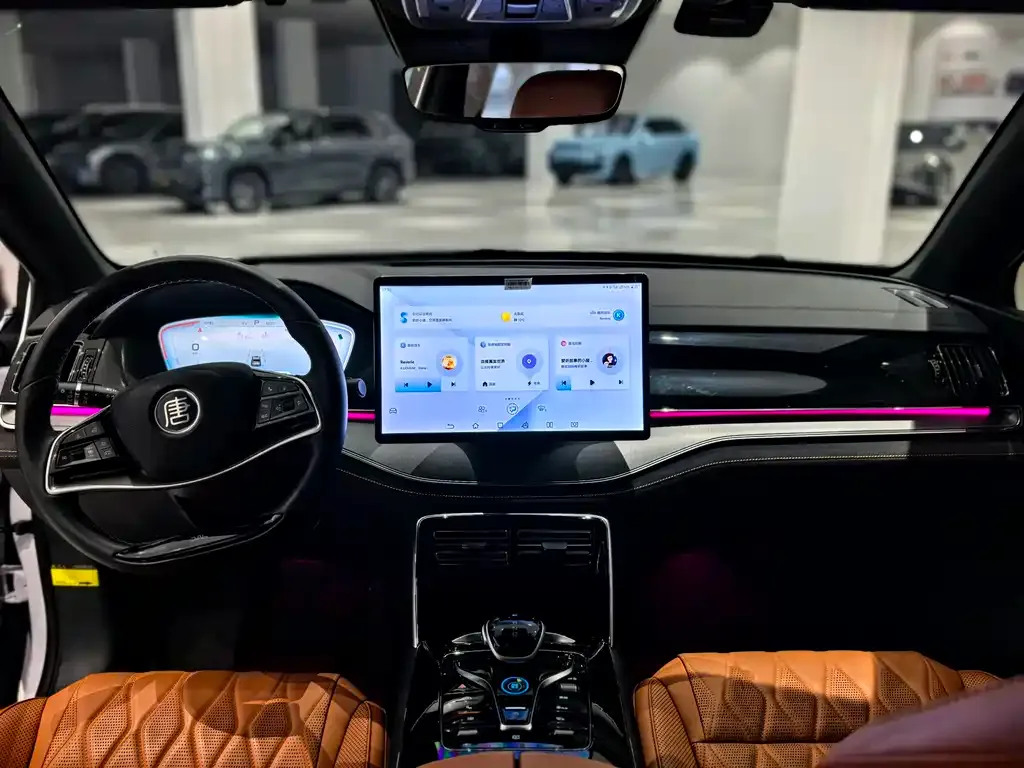 BYD Tang New Energy 2024 из CN, фото 10