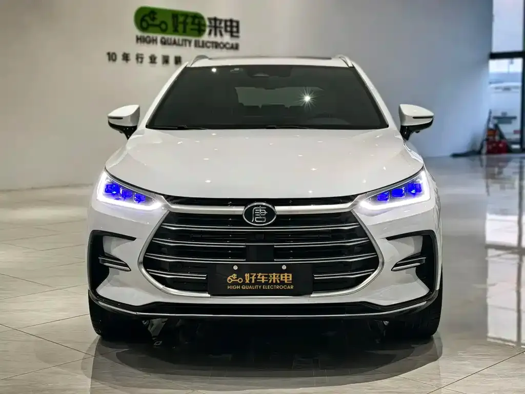 BYD Tang New Energy 2024 из CN, фото 2