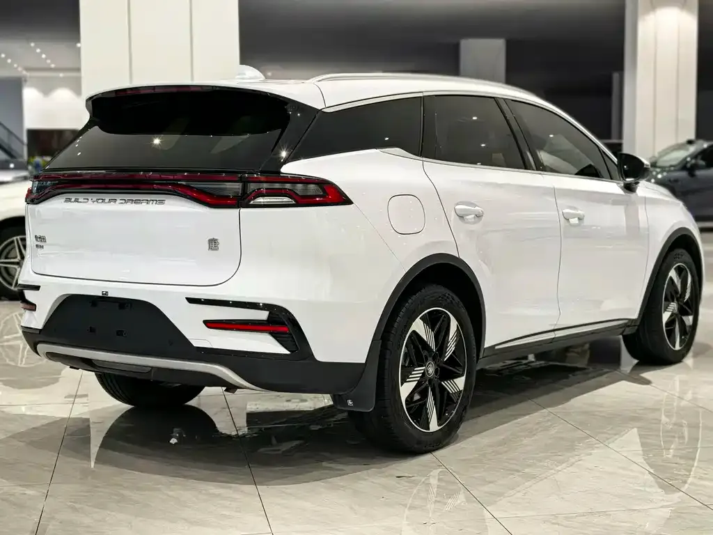 BYD Tang New Energy 2024 из CN, фото 4