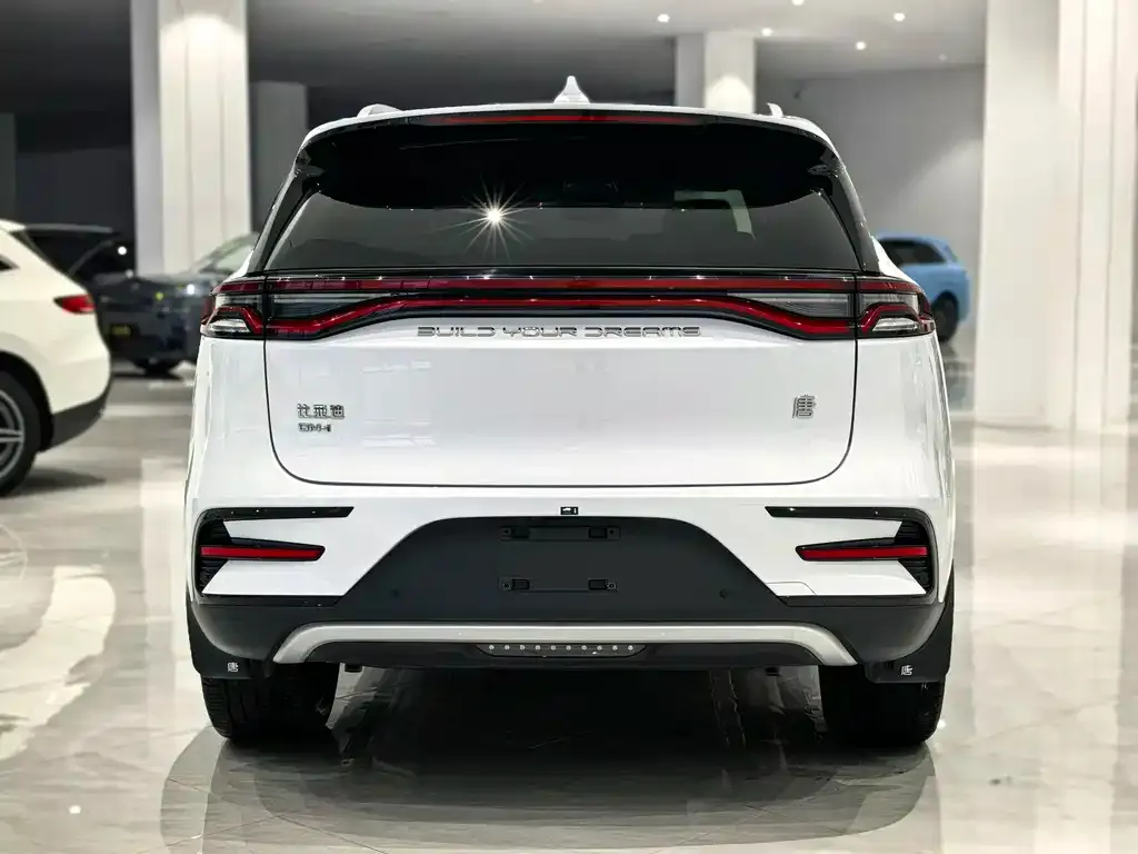 BYD Tang New Energy 2024 из CN, фото 5