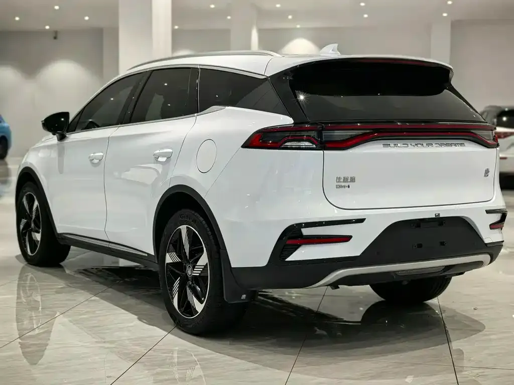 BYD Tang New Energy 2024 из CN, фото 6