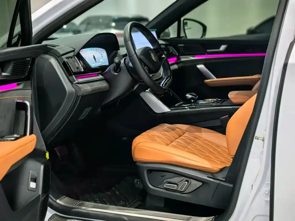 BYD Tang New Energy 2024 из CN, фото 7