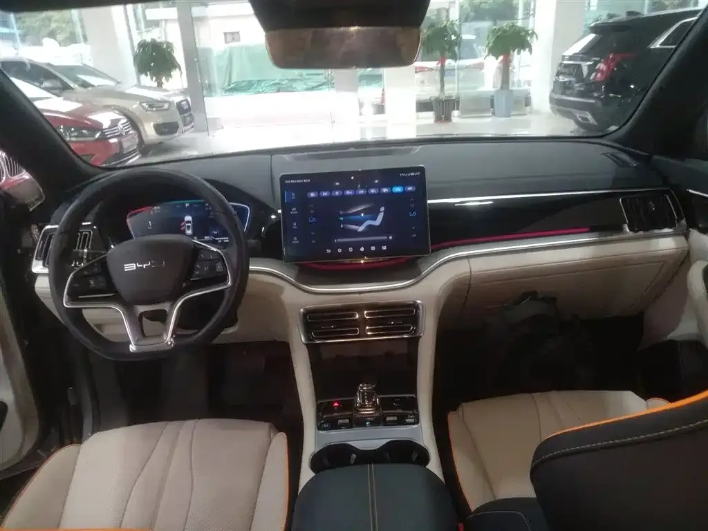 BYD PLUS New Energy 2023 из CN, фото 10