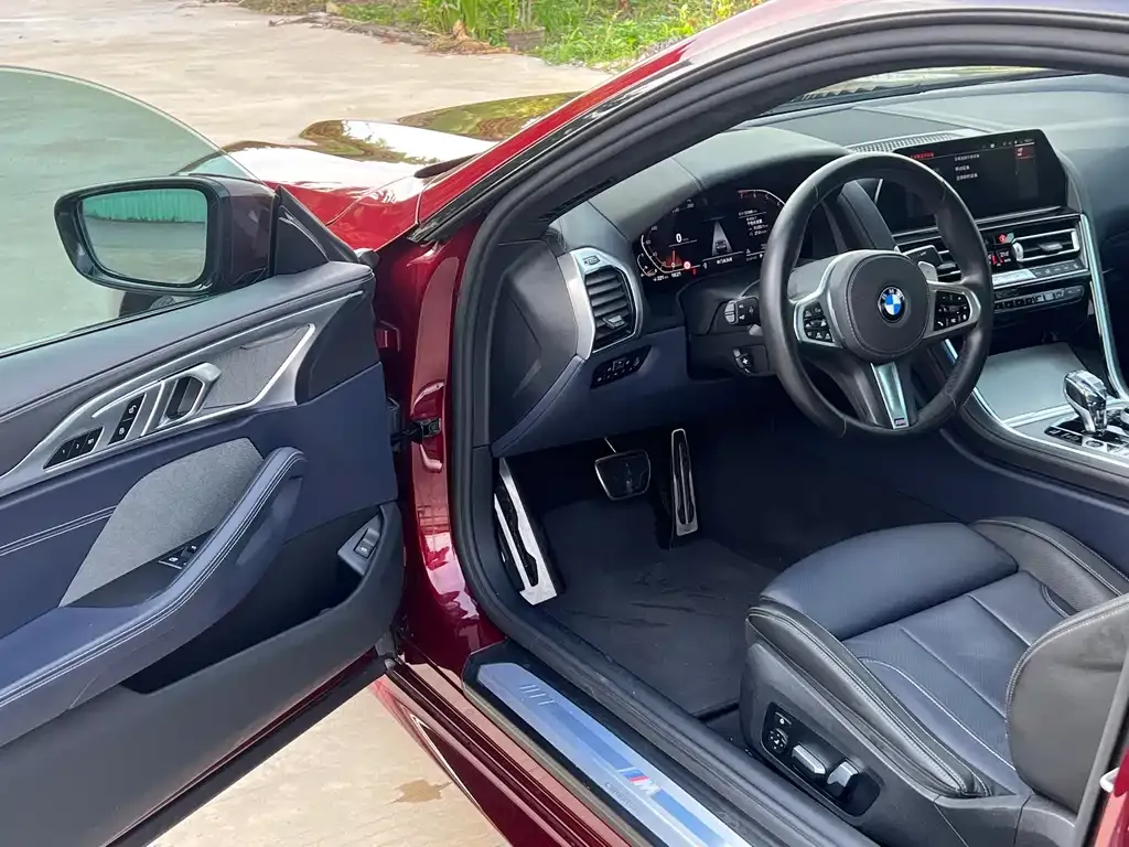 BMW 8 Series — фото 10