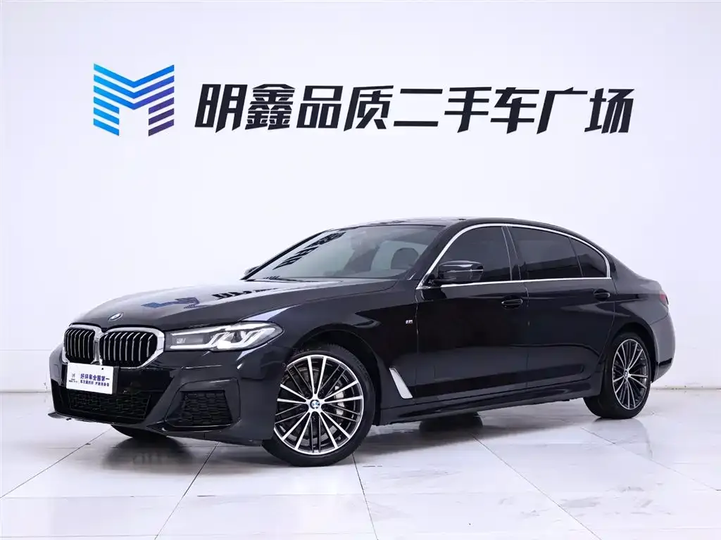 BMW 5 Series 2022 из CN, фото 2