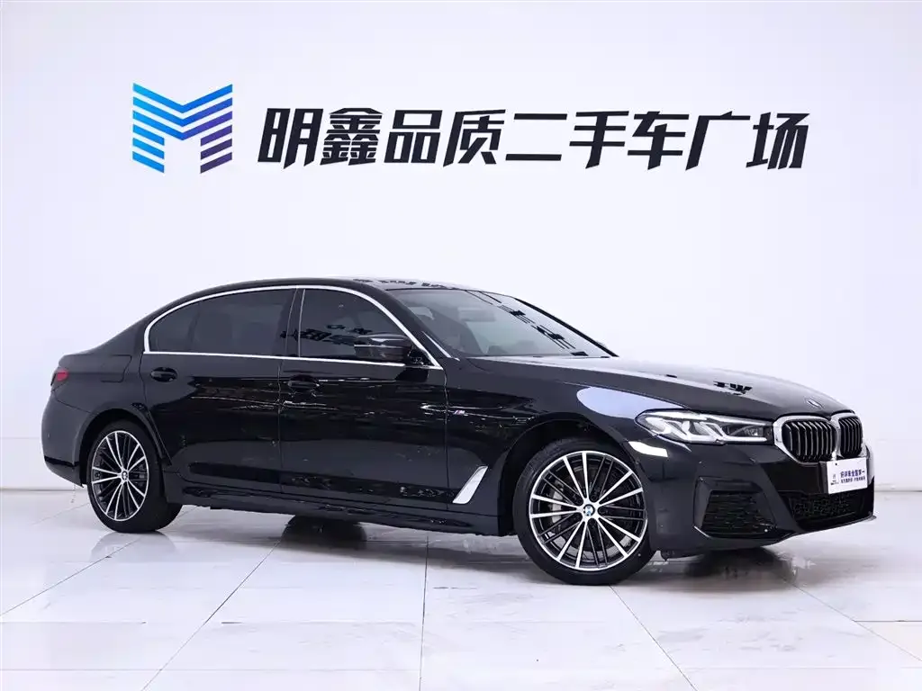 BMW 5 Series 2022 из CN, фото 5