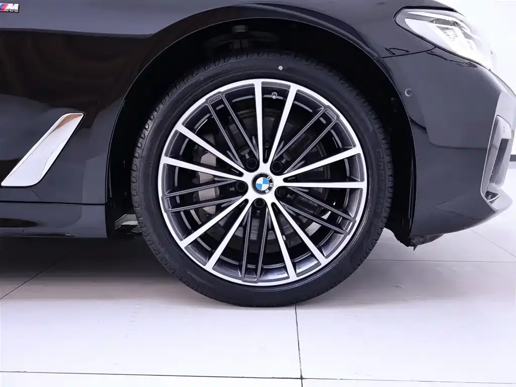 BMW 5 Series 2022 из CN, фото 6