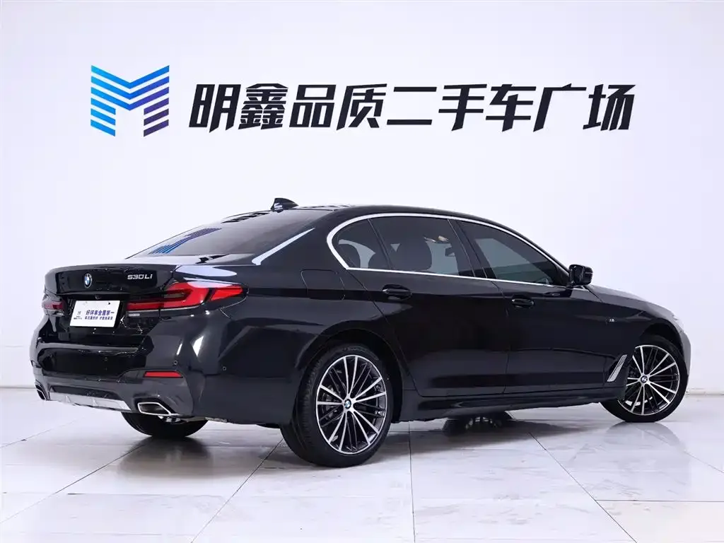 BMW 5 Series 2022 из CN, фото 7