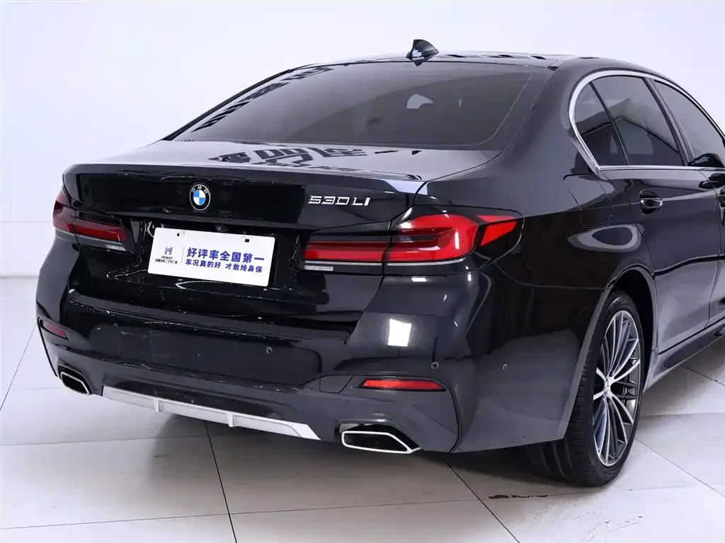 BMW 5 Series 2022 из CN, фото 8