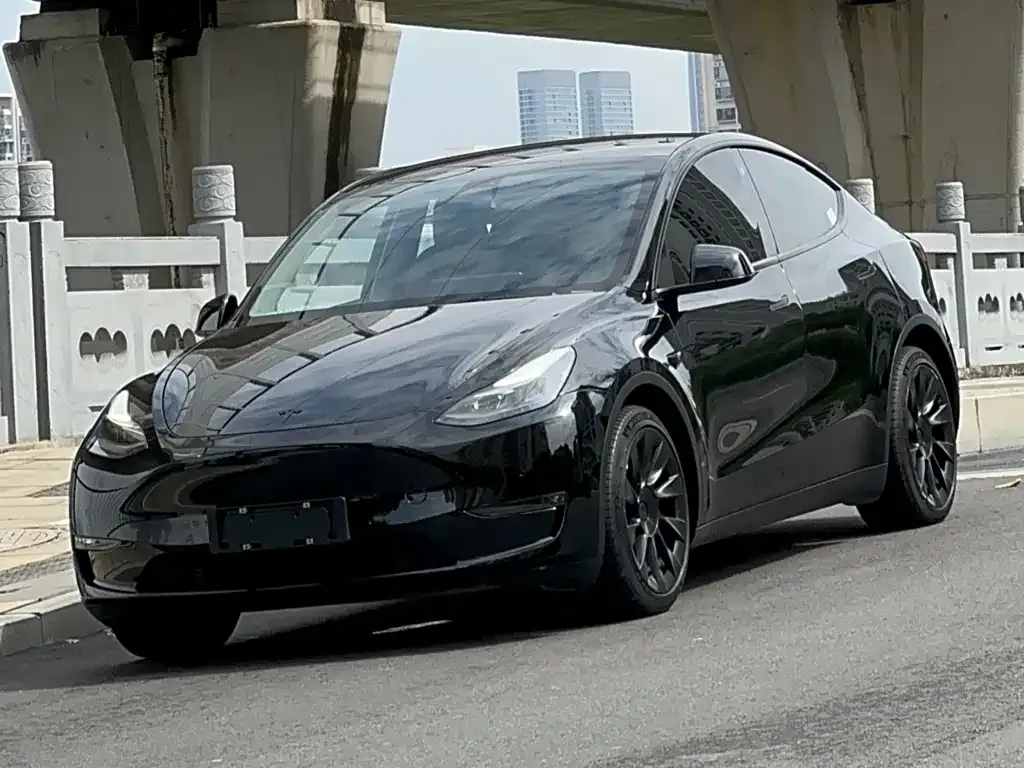 Tesla Model Y 2021 из CN, фото 1