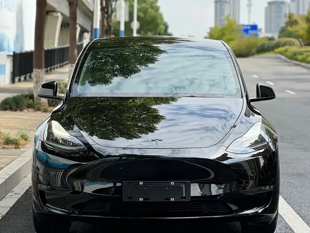 Tesla Model Y 2021 из CN, фото 2