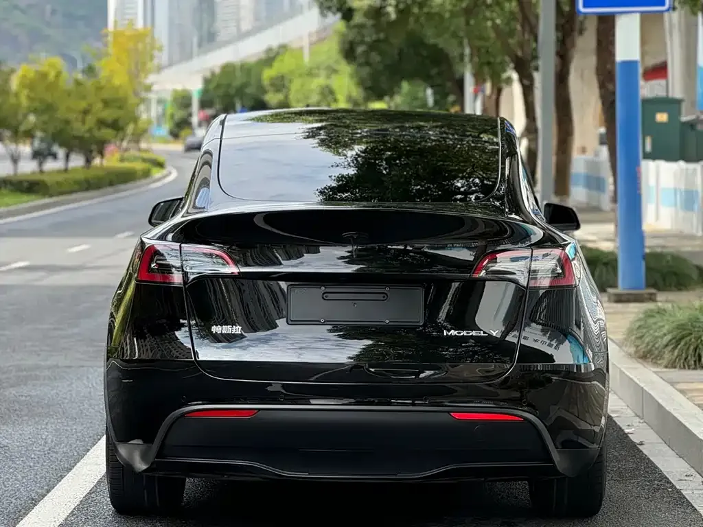 Tesla Model Y 2021 из CN, фото 4