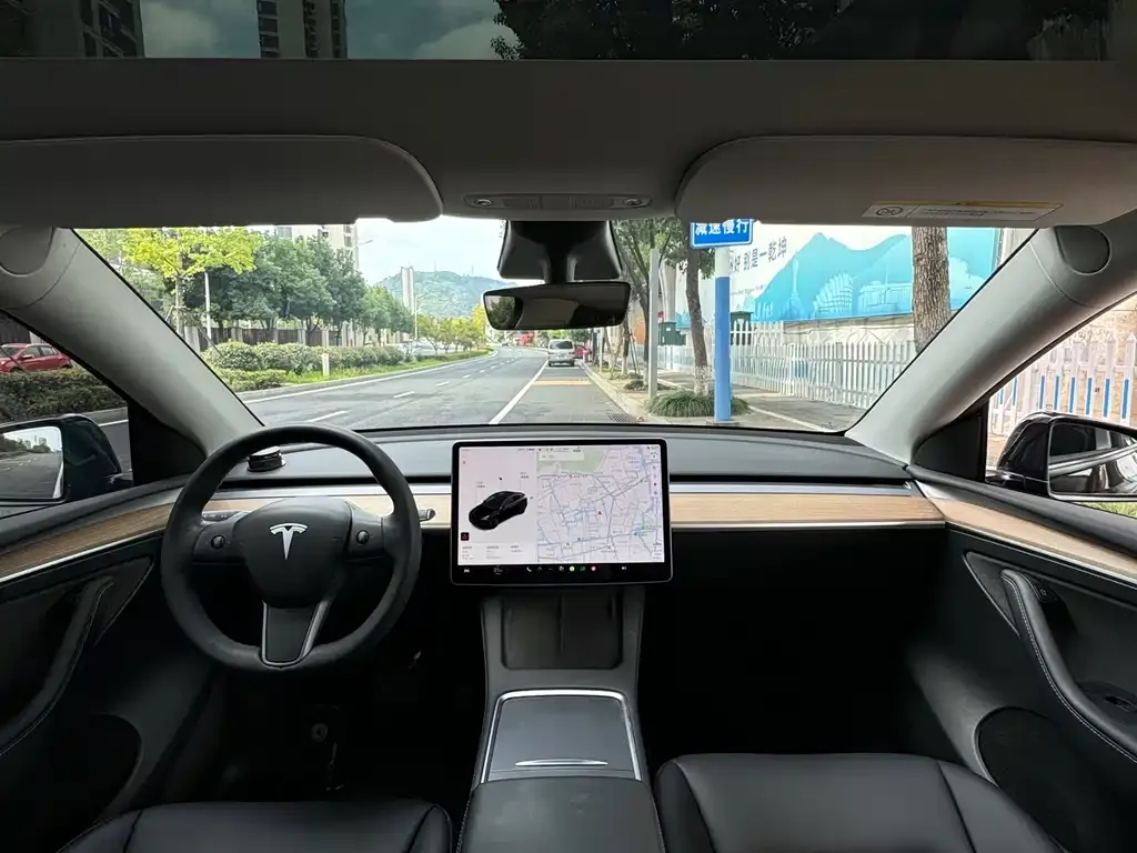 Tesla Model Y 2021 из CN, фото 5