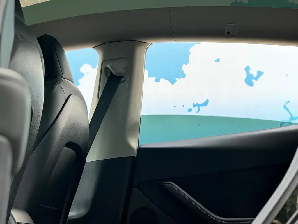 Tesla Model Y 2021 из CN, фото 7