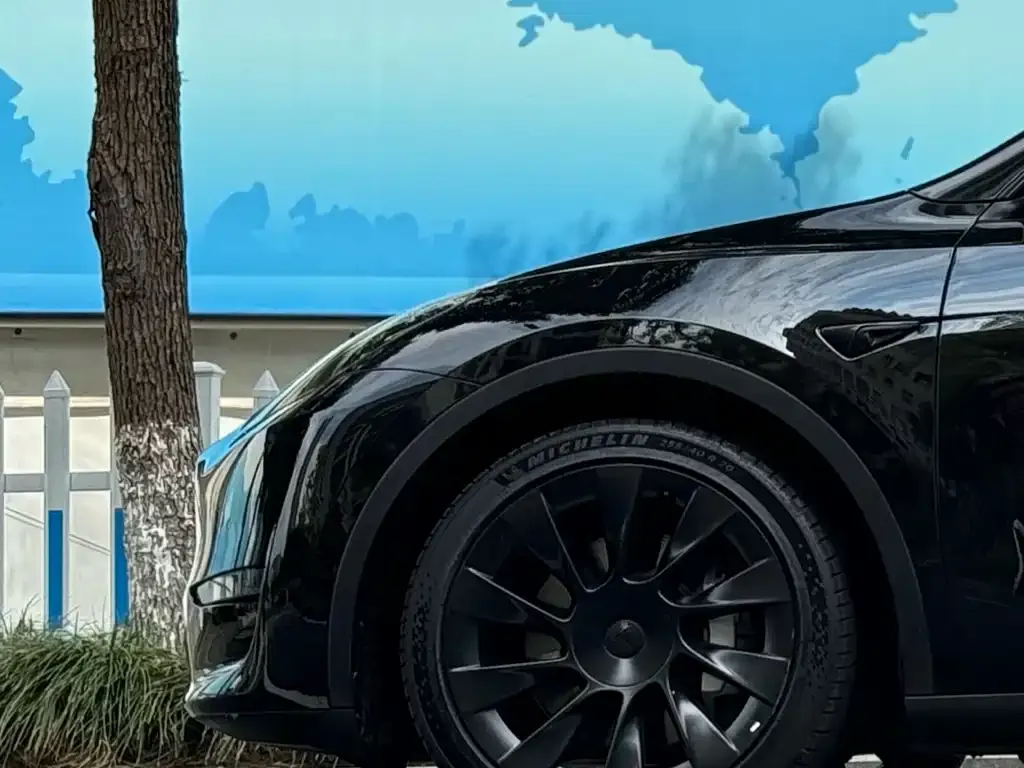 Tesla Model Y 2021 из CN, фото 8
