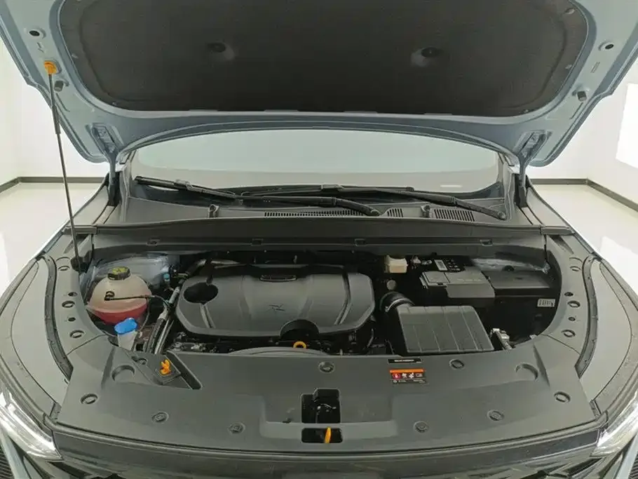 [object Object] Boyue 2024 из CN, фото 10