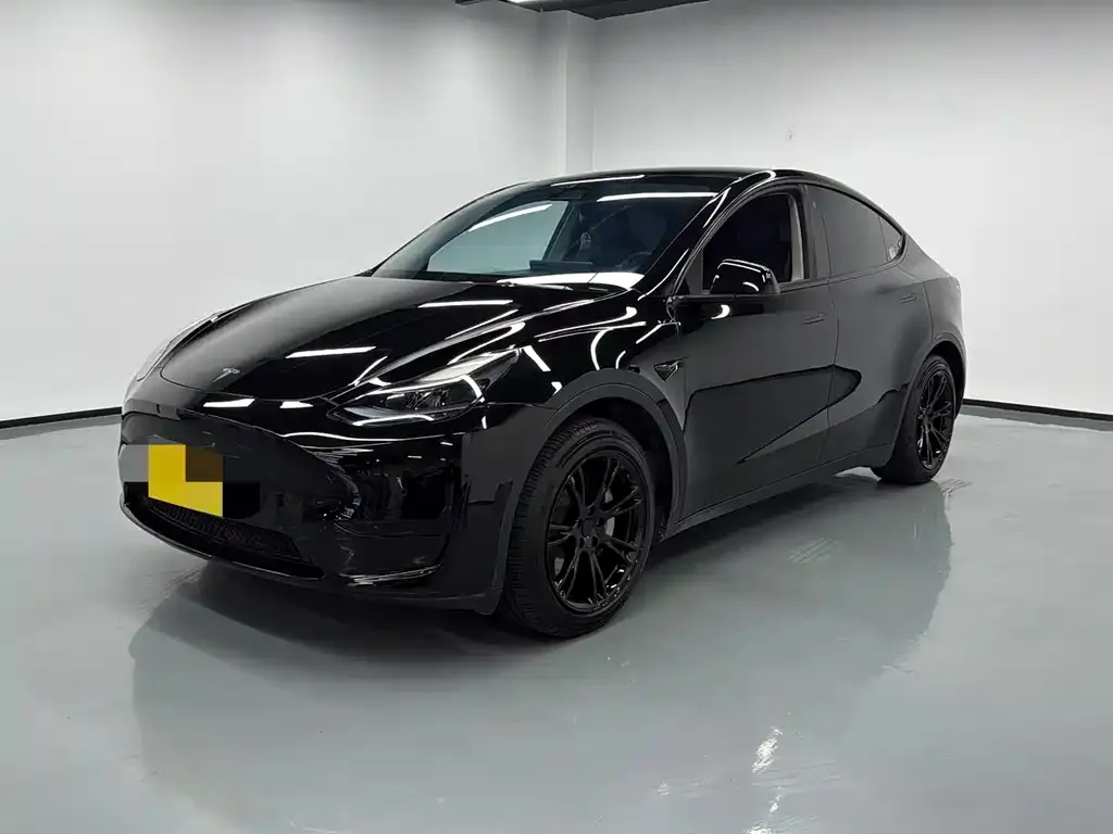 Tesla Model Y 2023 из CN, фото 1