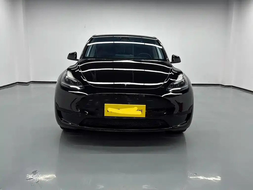 Tesla Model Y 2023 из CN, фото 2