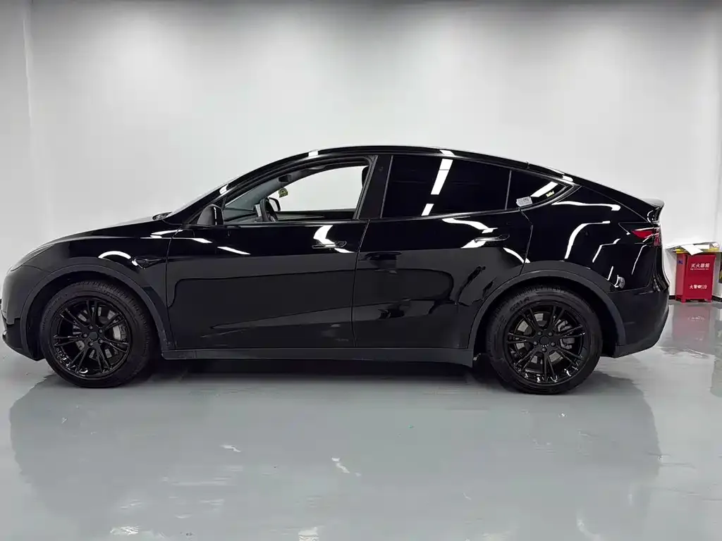 Tesla Model Y 2023 из CN, фото 4