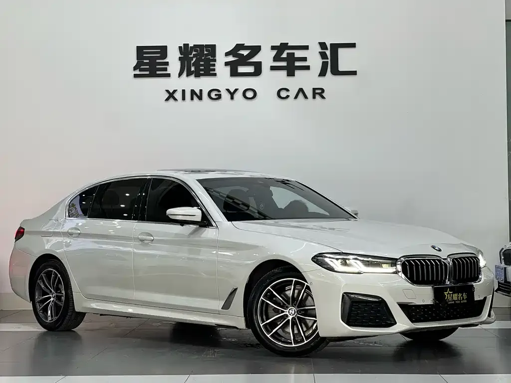 BMW 5 Series 2021 из CN, фото 2
