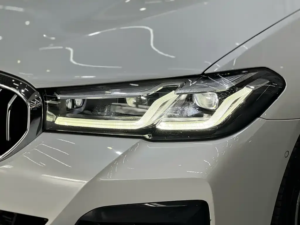 BMW 5 Series 2021 из CN, фото 3