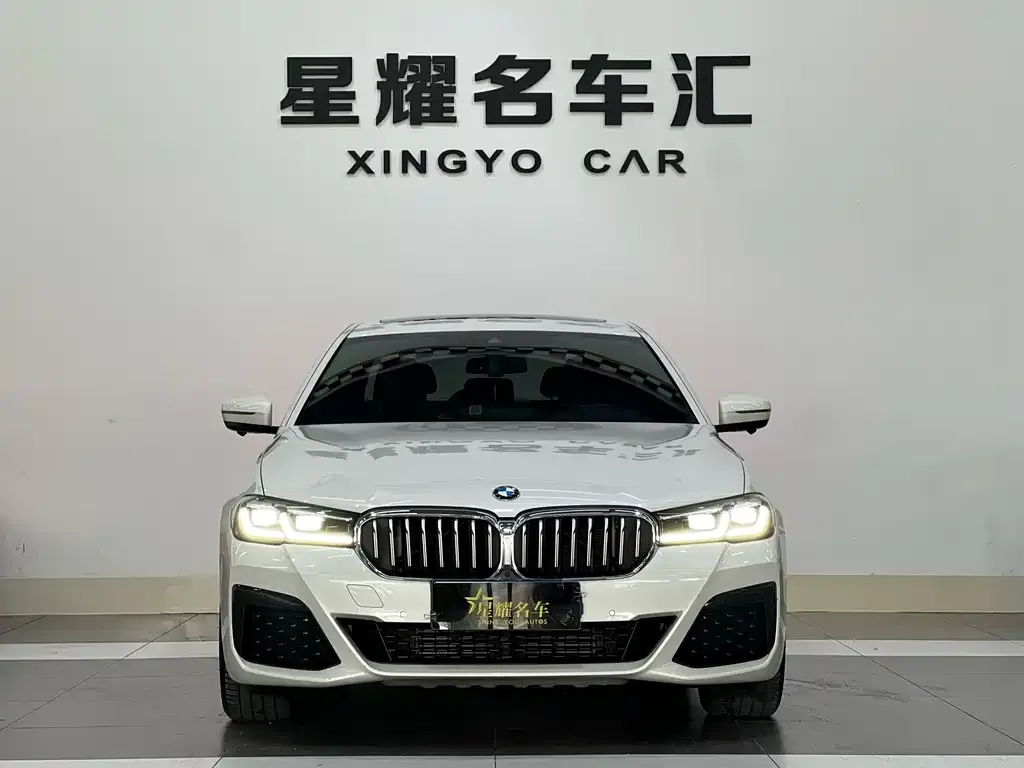 BMW 5 Series 2021 из CN, фото 5