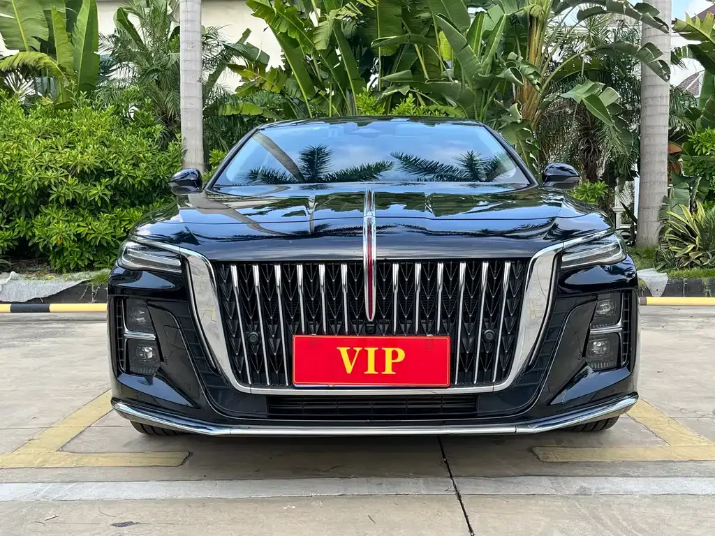 Hongqi H5 2022 из CN, фото 2