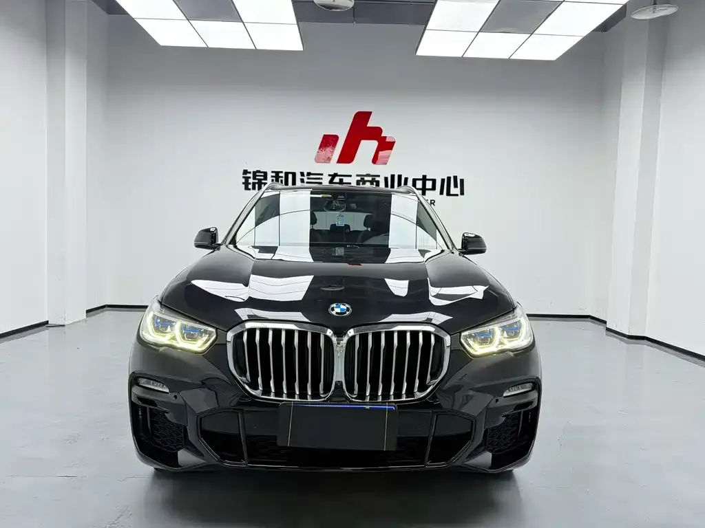 [object Object] X5 (Import) 2021 из CN, фото 2