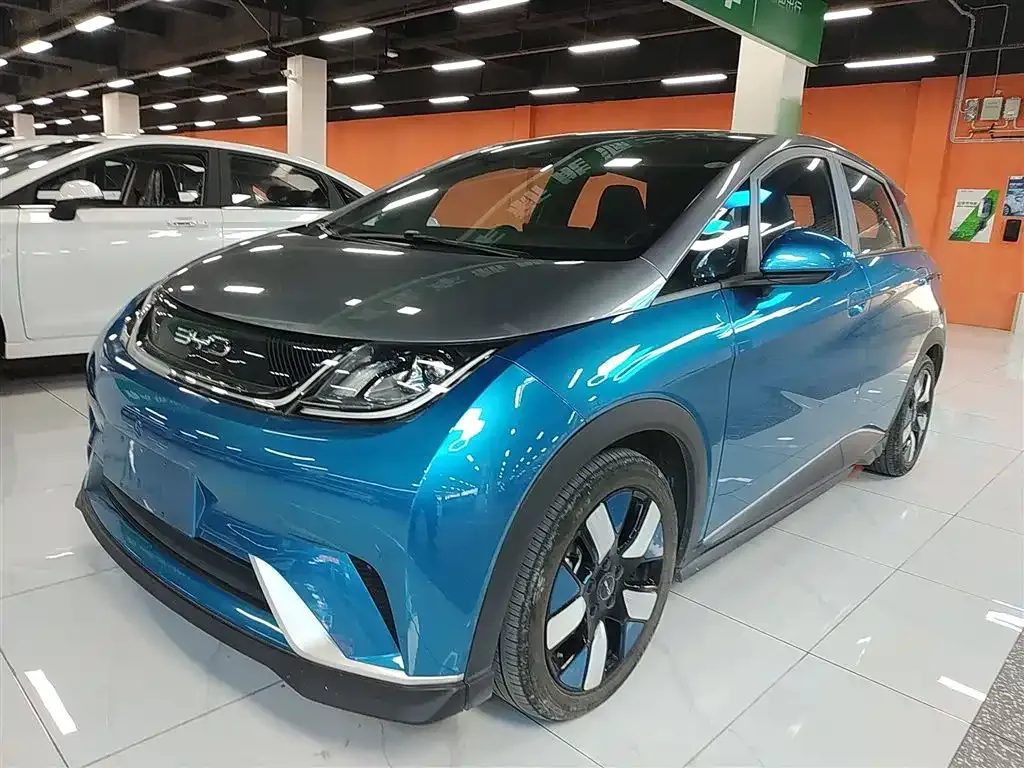 BYD Dolphin 2023 из CN, фото 2