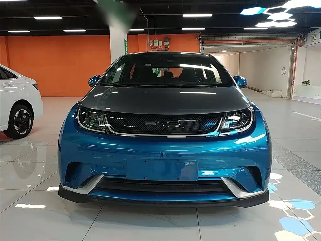 BYD Dolphin 2023 из CN, фото 3