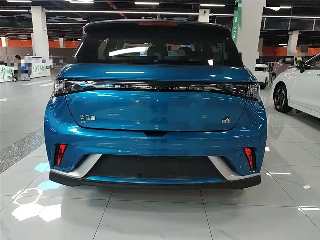 BYD Dolphin 2023 из CN, фото 6