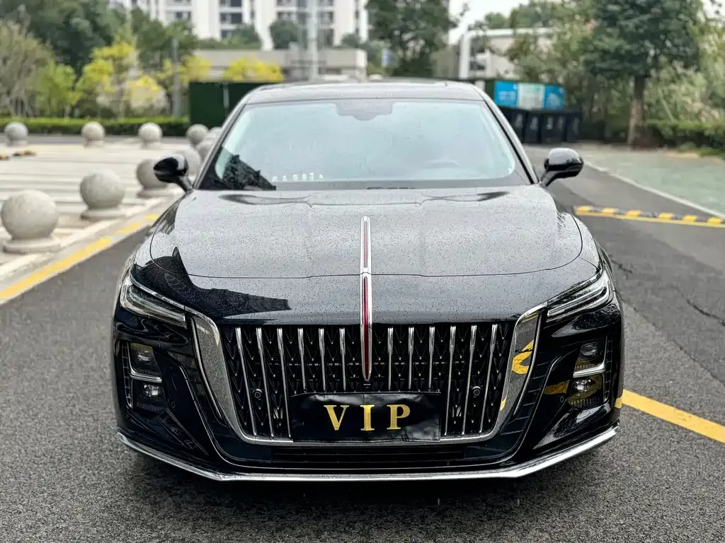 Hongqi H5 2025 из CN, фото 2
