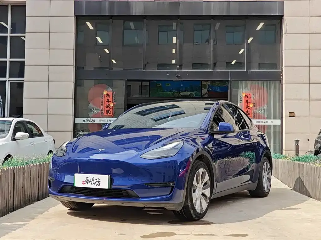 Tesla Model Y 2021 из CN, фото 1
