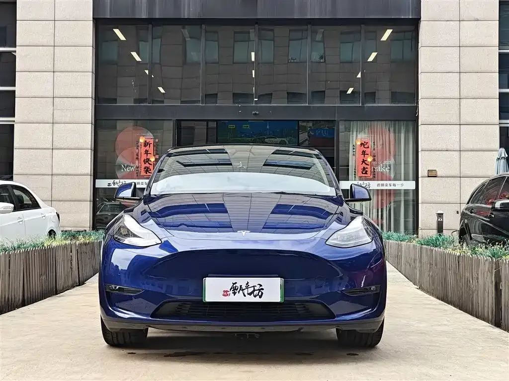 Tesla Model Y 2021 из CN, фото 2