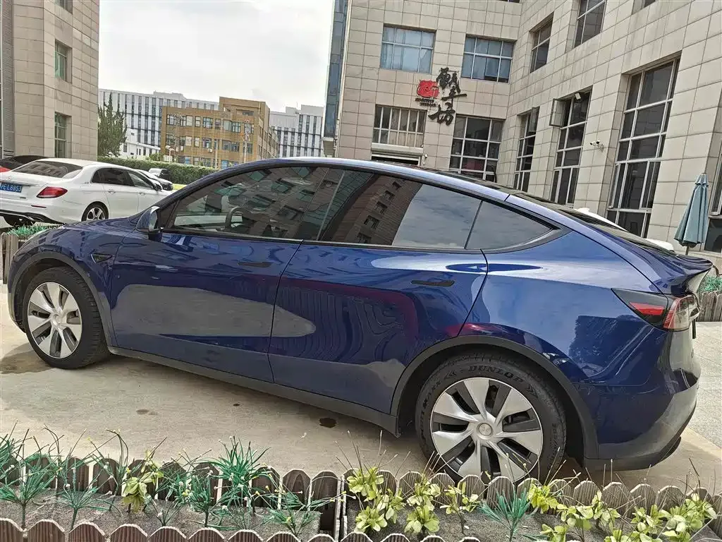 Tesla Model Y 2021 из CN, фото 3