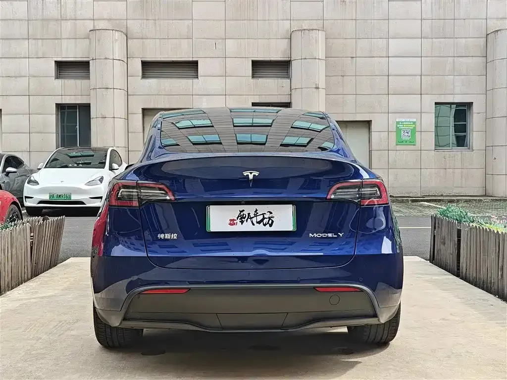 Tesla Model Y 2021 из CN, фото 5