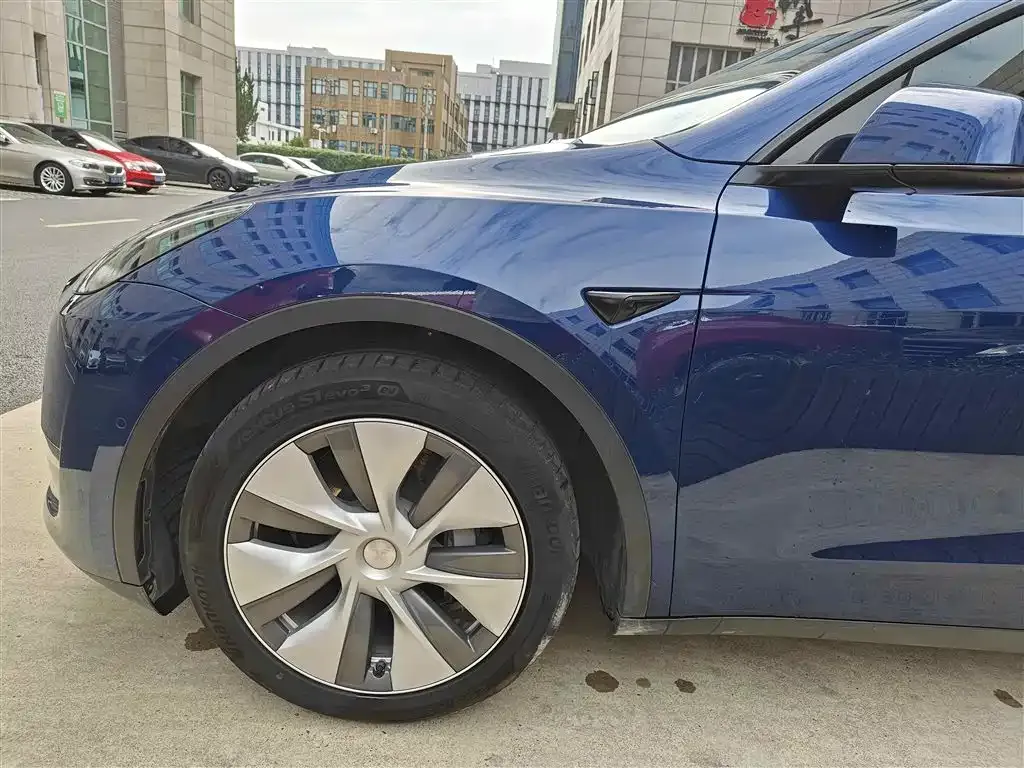 Tesla Model Y 2021 из CN, фото 6