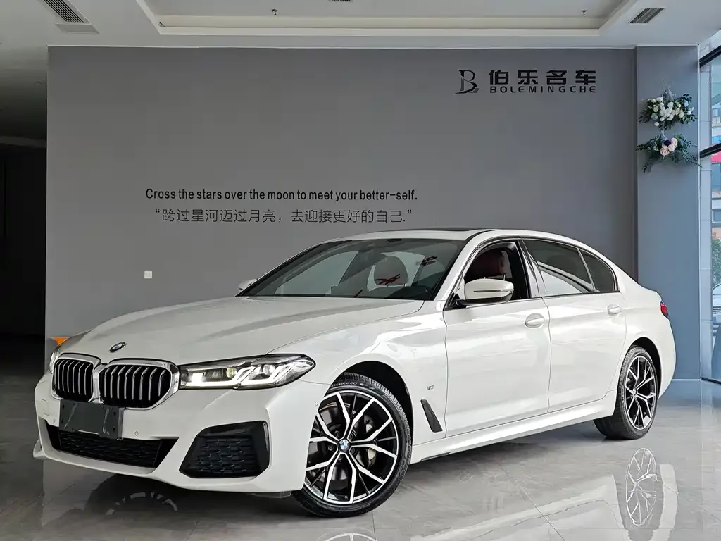 BMW 5 Series 2021 из CN, фото 1