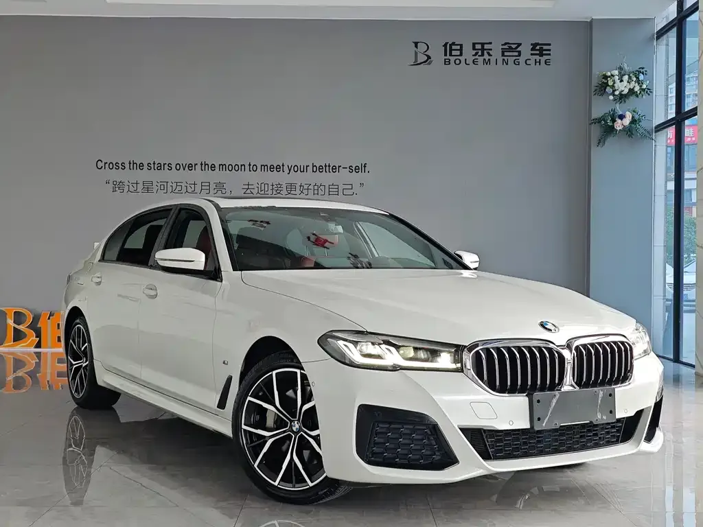 BMW 5 Series 2021 из CN, фото 2