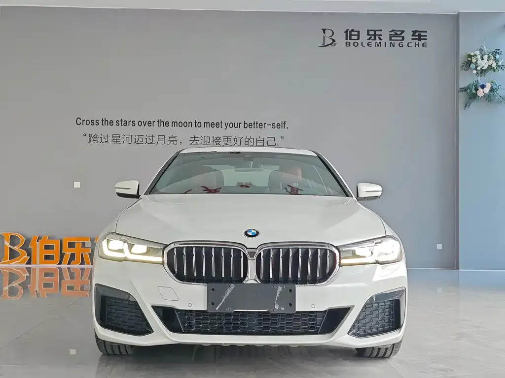 BMW 5 Series 2021 из CN, фото 3