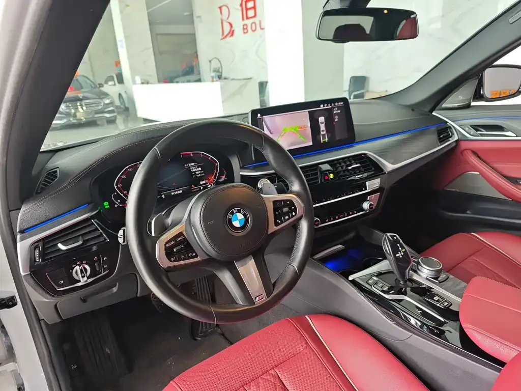 BMW 5 Series 2021 из CN, фото 5