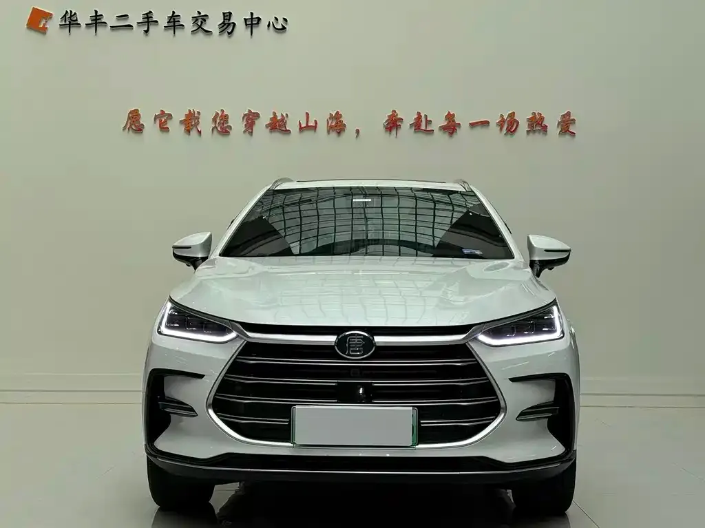 BYD Tang New Energy 2023 из CN, фото 2