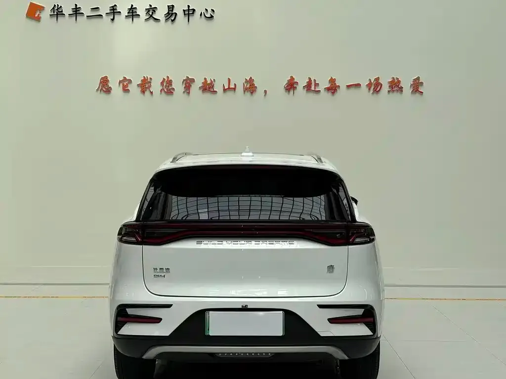BYD Tang New Energy 2023 из CN, фото 5