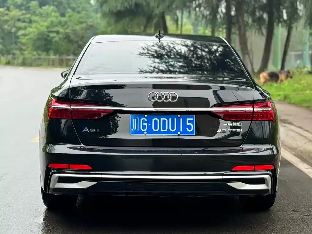 Audi A6L 2023 из CN, фото 6